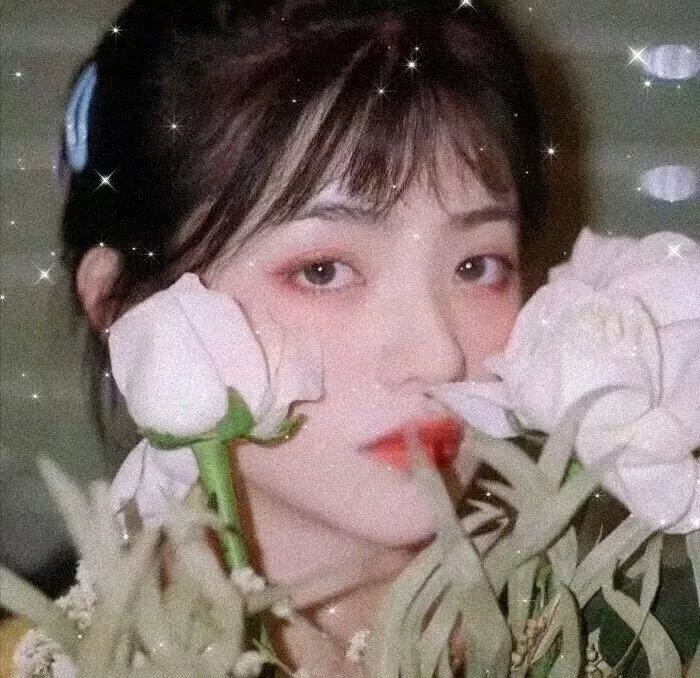 才不要像你一样谈恋爱